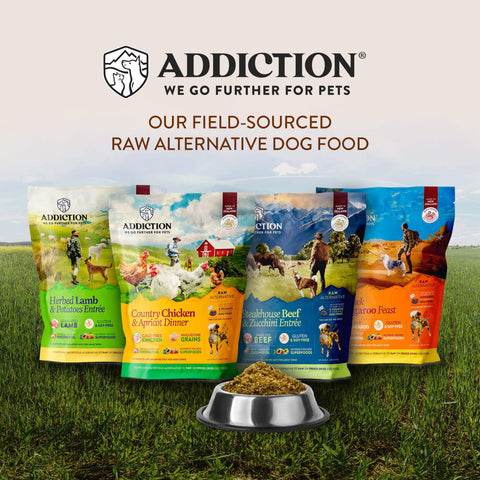 Country Chicken & Apricot Raw Alternative Dog Food